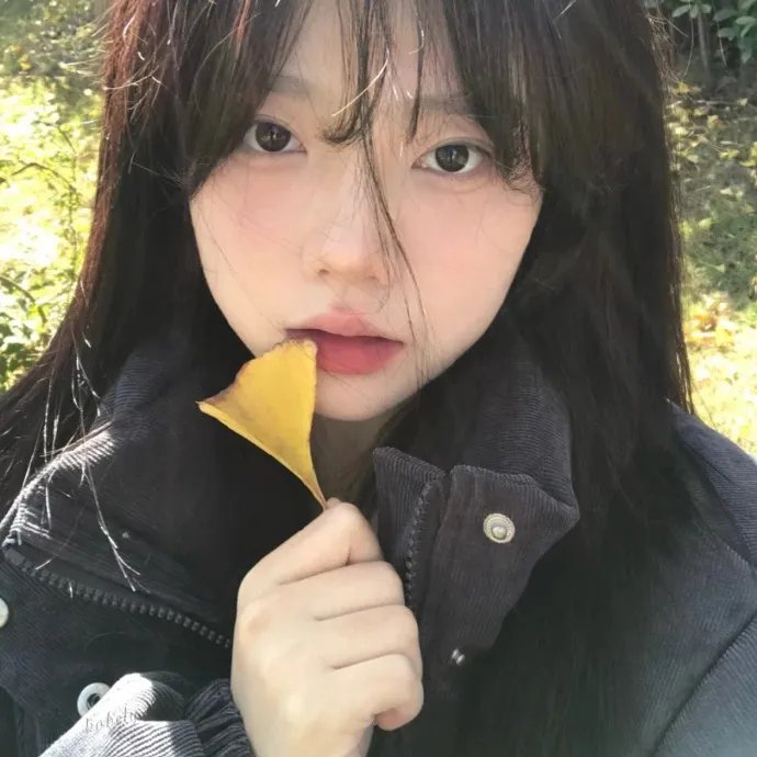我破碎的真理子